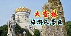 老妇淫穴视频中国浙江-绍兴大香林旅游风景区